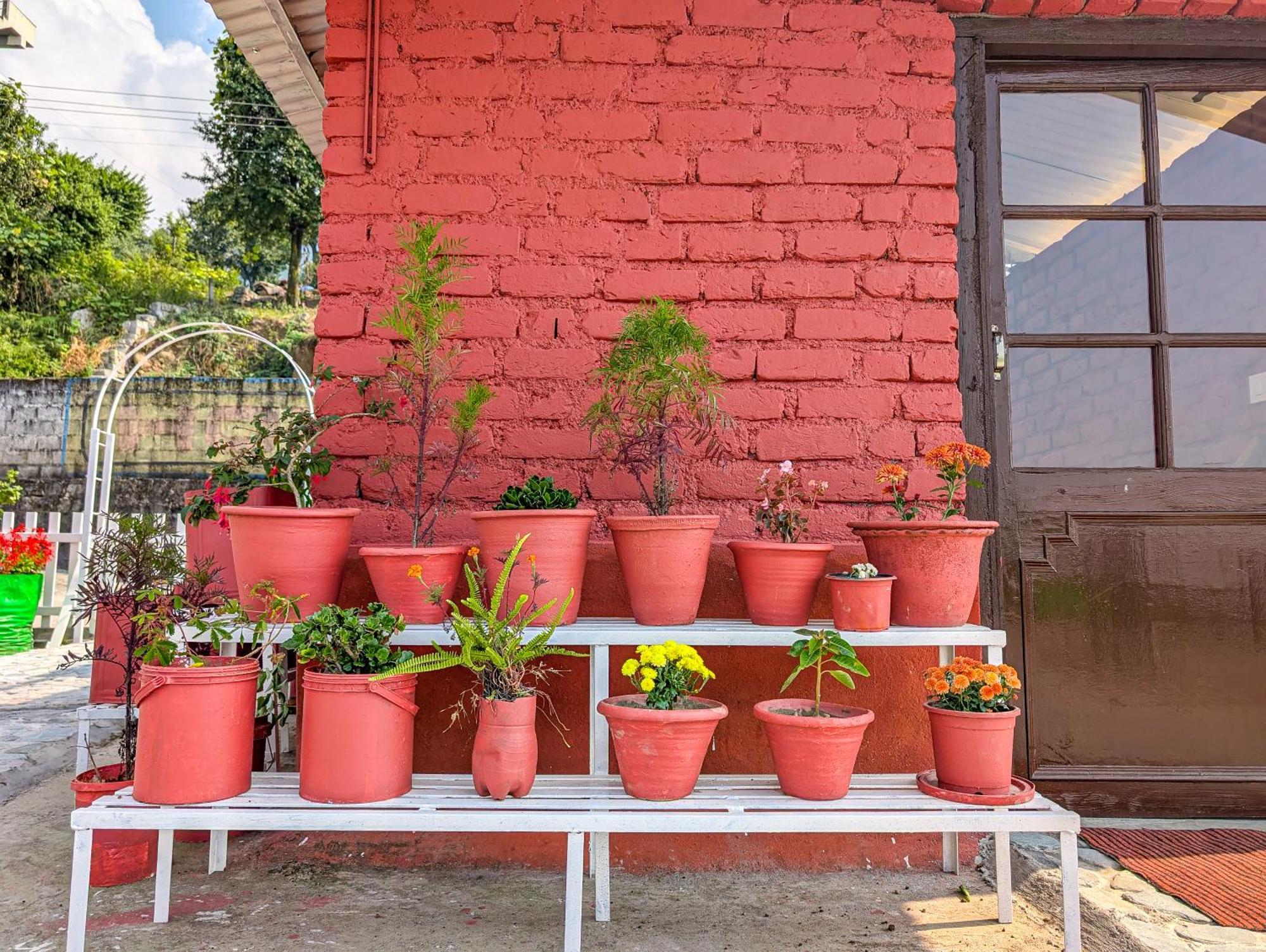 Hobo Hostel Dharamshala Dış mekan fotoğraf