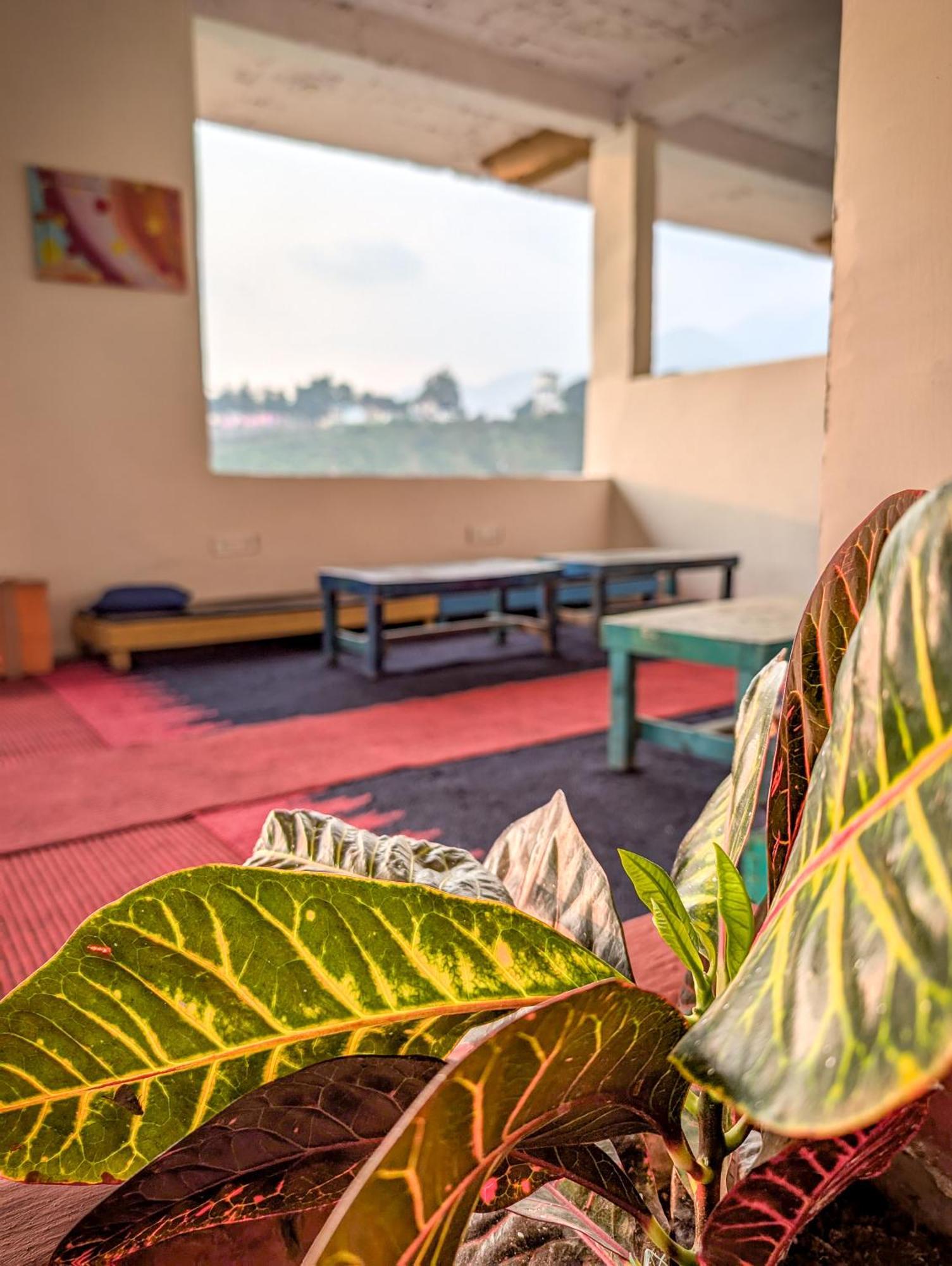 Hobo Hostel Dharamshala Dış mekan fotoğraf