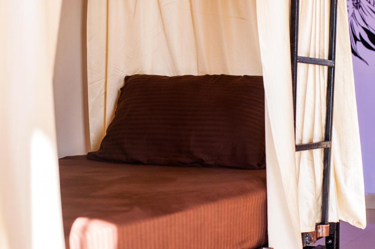 Hobo Hostel Dharamshala Dış mekan fotoğraf